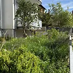 Birkental * Veitshöchheim